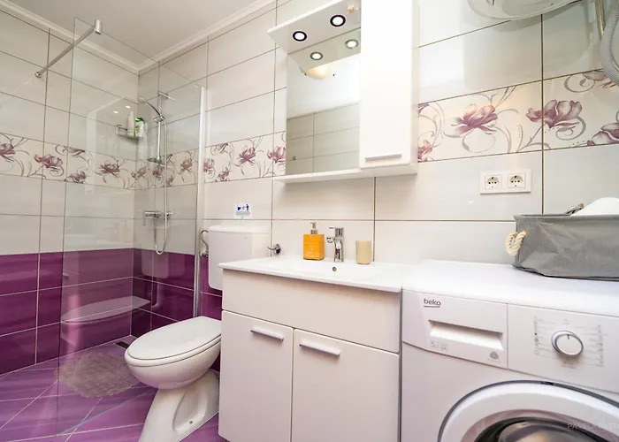 Leon & Rent A Quad *